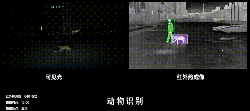 【方案】车载红外方案，解锁全天候行车安全，告别视线焦虑(图7)